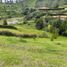  Land for sale in Rionegro, Antioquia, Rionegro