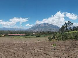  Terrain for sale in Cotacachi, Imbabura, Cotacachi, Cotacachi