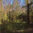  Land for sale in Chile, Pucon, Cautin, Araucania, Chile