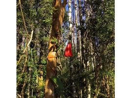  Land for sale in Chile, Pucon, Cautin, Araucania, Chile