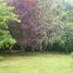 1 Bedroom House for rent in General Pueyrredon, Buenos Aires, General Pueyrredon