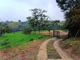  Land for sale in El Carmen De Viboral, Antioquia, El Carmen De Viboral