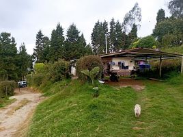  Terreno (Parcela) en venta en Bojaca, Cundinamarca, Bojaca