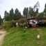  Land for sale in Bojaca, Cundinamarca, Bojaca