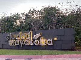  Grundstück zu verkaufen in Cozumel, Quintana Roo, Cozumel