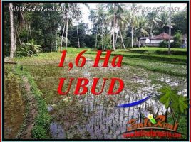  Terrain for sale in Tegallalang, Gianyar, Tegallalang