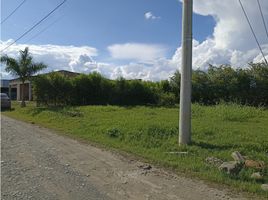  Terreno (Parcela) en venta en Tulua, Valle Del Cauca, Tulua