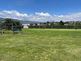  Terrain for sale in Tumbaco, Quito, Tumbaco