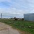  Terrain for sale in Balcarce, Buenos Aires, Balcarce