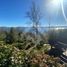 5 Habitación Casa en venta en Los Ríos, Panguipulli, Valdivia, Los Ríos