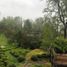 5 Habitación Casa en venta en Los Ríos, Panguipulli, Valdivia, Los Ríos