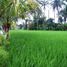  Land for sale in Tabanan, Bali, Kerambitan, Tabanan