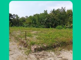  Land for sale in Bantul, Yogyakarta, Kasihan, Bantul