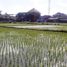  Tanah for sale in Sukawati, Gianyar, Sukawati