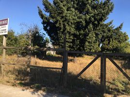  Terreno (Parcela) en venta en Araucanía, Nueva Imperial, Cautín, Araucanía