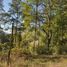  Land for sale in Chile, Villarrica, Cautin, Araucania, Chile