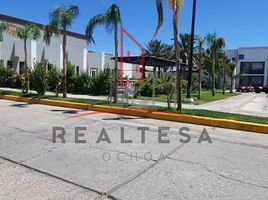 1 Bedroom Apartment for rent in Chihuahua, Ojinaga, Chihuahua