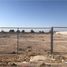  Land for rent in Torreon, Coahuila, Torreon