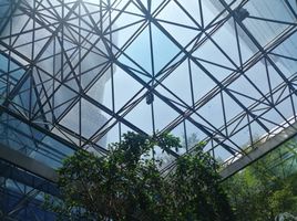 330.92 m² Office for rent in Alvaro Obregon, Ciudad de México, Alvaro Obregon
