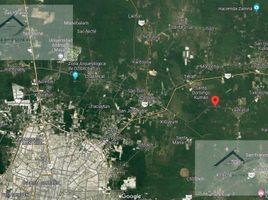 Land for sale in Tixkokob, Yucatan, Tixkokob