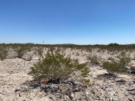  Land for sale in Torreon, Coahuila, Torreon