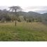  Land for sale in La Ceja, Antioquia, La Ceja