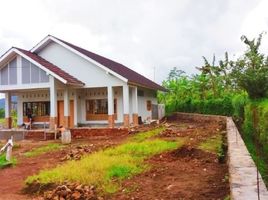 5 Bedroom House for sale in Pandeglang, Banten, Munjul, Pandeglang