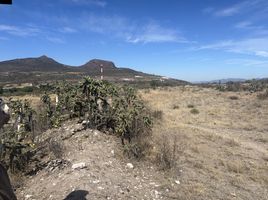 在Hidalgo出售的 土地, Ajacuba, Hidalgo