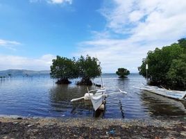  Grundstück zu verkaufen in Batangas, Calabarzon, Calatagan