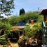 4 침실 주택을(를) Tepoztlan, 모렐 로스에서 판매합니다., Tepoztlan, 모렐 로스, 멕시코