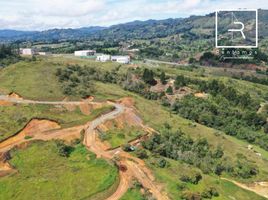  Terreno (Parcela) en venta en Guarne, Antioquia, Guarne