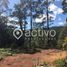 Terreno (Parcela) en venta en Los Ríos, Mariquina, Valdivia, Los Ríos