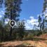  Terreno (Parcela) en venta en Los Ríos, Mariquina, Valdivia, Los Ríos