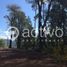  Terreno (Parcela) en venta en Los Ríos, Mariquina, Valdivia, Los Ríos