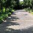  Land for sale in Ubud, Gianyar, Ubud