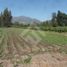  Land for sale in Chile, Buin, Maipo, Santiago, Chile