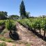  Land for sale in Chile, Buin, Maipo, Santiago, Chile