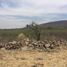  Land for sale in Ixtlahuacan De Los Membrillos, Jalisco, Ixtlahuacan De Los Membrillos