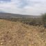  Land for sale in Ixtlahuacan De Los Membrillos, Jalisco, Ixtlahuacan De Los Membrillos