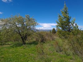  Land for sale in Futaleufu, Chubut, Futaleufu