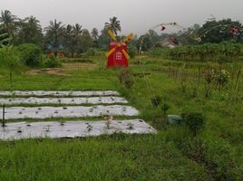  Tanah for sale in Yogyakarta, Seyegan, Sleman, Yogyakarta