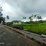  Land for sale in Yogyakarta, Seyegan, Sleman, Yogyakarta