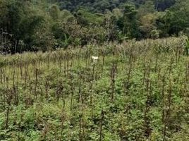  Grundstück zu verkaufen in Sumedang, West Jawa, Cikeruh, Sumedang