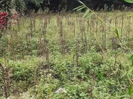  Grundstück zu verkaufen in Sumedang, West Jawa, Cikeruh