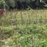  Land for sale in Sumedang, West Jawa, Cikeruh, Sumedang