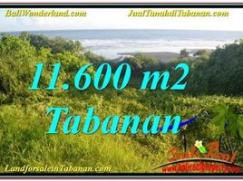  Terrain for sale in Kediri, Tabanan, Kediri