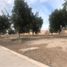  Grundstück zu verkaufen in Torreon, Coahuila, Torreon