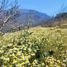  Land for sale in Chile, Lampa, Chacabuco, Santiago, Chile