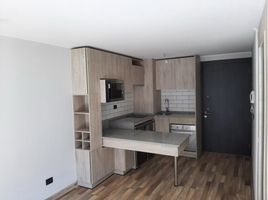 1 Habitación Departamento en venta en Cordillera, Santiago, Puente Alto, Cordillera