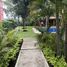 在墨西哥出租的 顶层公寓, Cuernavaca, Morelos, 墨西哥